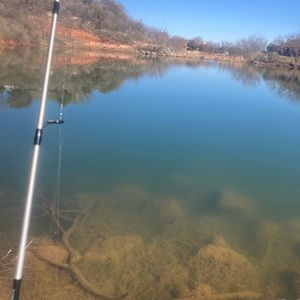 Meet your Posher, Oscar